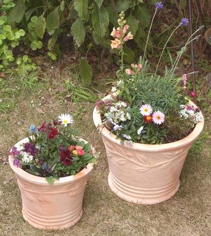 6ムーン17平均太陽日ときの発信案配 小粋 植木鉢 訳あり オリーブポット 素焼き鉢 大型 大小2個背景 大型 プランター 鉢 テラコッタ鉢 ガーデニング鉢 テラコッタ 素焼き おおまか オシャレ 素的 単一 家園生野菜園 ガーデニング エクステリア 庭 Digitalland Com Br