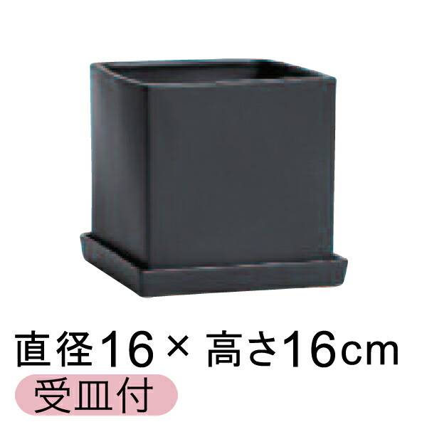 【楽天市場】陶器鉢 CF ポッコリ 丸型 白 つや無 14cm 0.6リットル 受皿付 植木鉢 おしゃれ かわいい 室内 : 植木鉢 ・鉢カバー専門店グーポット