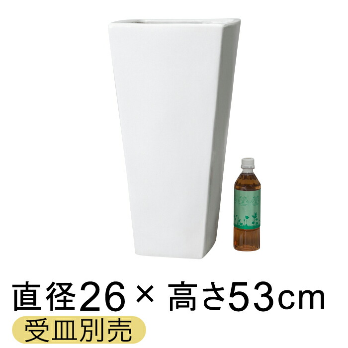 新着案内書