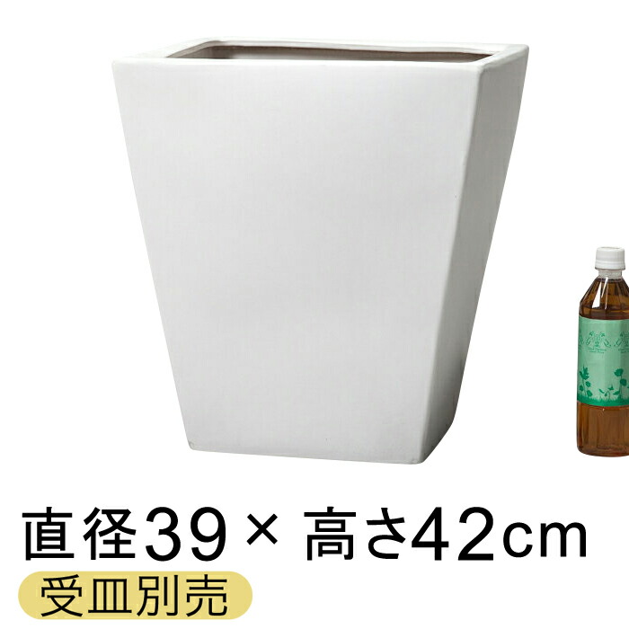 新着案内書