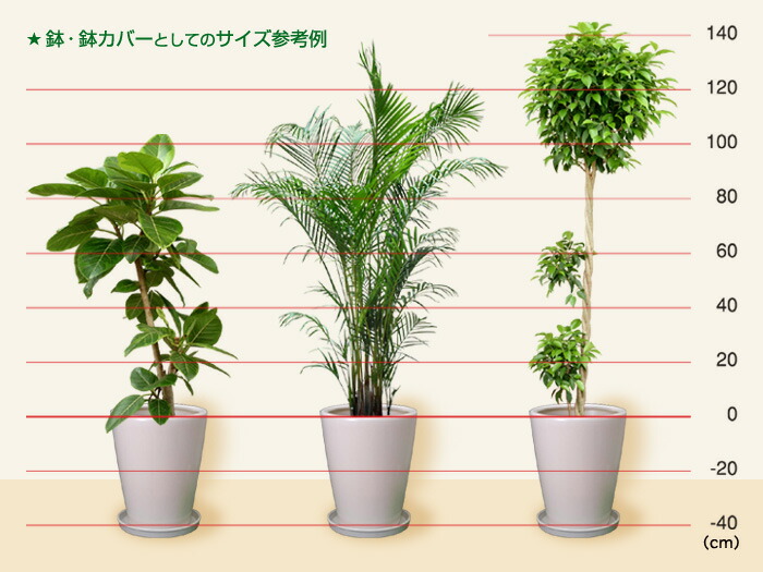 つや所蔵 訳あり 植木しゃれこうべ ハイカラ 鉢埋め合わせ 陶芸鉢 Wy お金深手法 白色 つや有 M 34cm 22リッター 受皿別売 ガーデニング鉢 プランター Of 鉢 プランター鉢 陶器 ガーデニング オシャレ スウィート カワイイ 単一 引っ敷き 毛唐人 Cannes Encheres Com