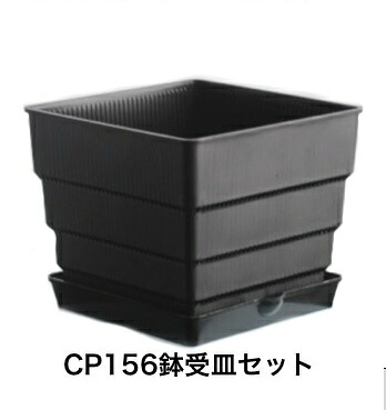 もの凄まじい根 CP156 書き割り プラ鉢 鉢受皿書き割り 鉢 可塑性物質 真四角型 特大 大きさ 通気性 サークリング 押しとどめる 役立つこと的 プランター 鉢 草木鉢 園芸鉢 根腐り押しとどめる 水はけ 通水溶性 根張り盛りかえす 観葉草木 蔬菜作りだす 多肉植物 ガーデニング 軽さ 大気圏ポット 草木