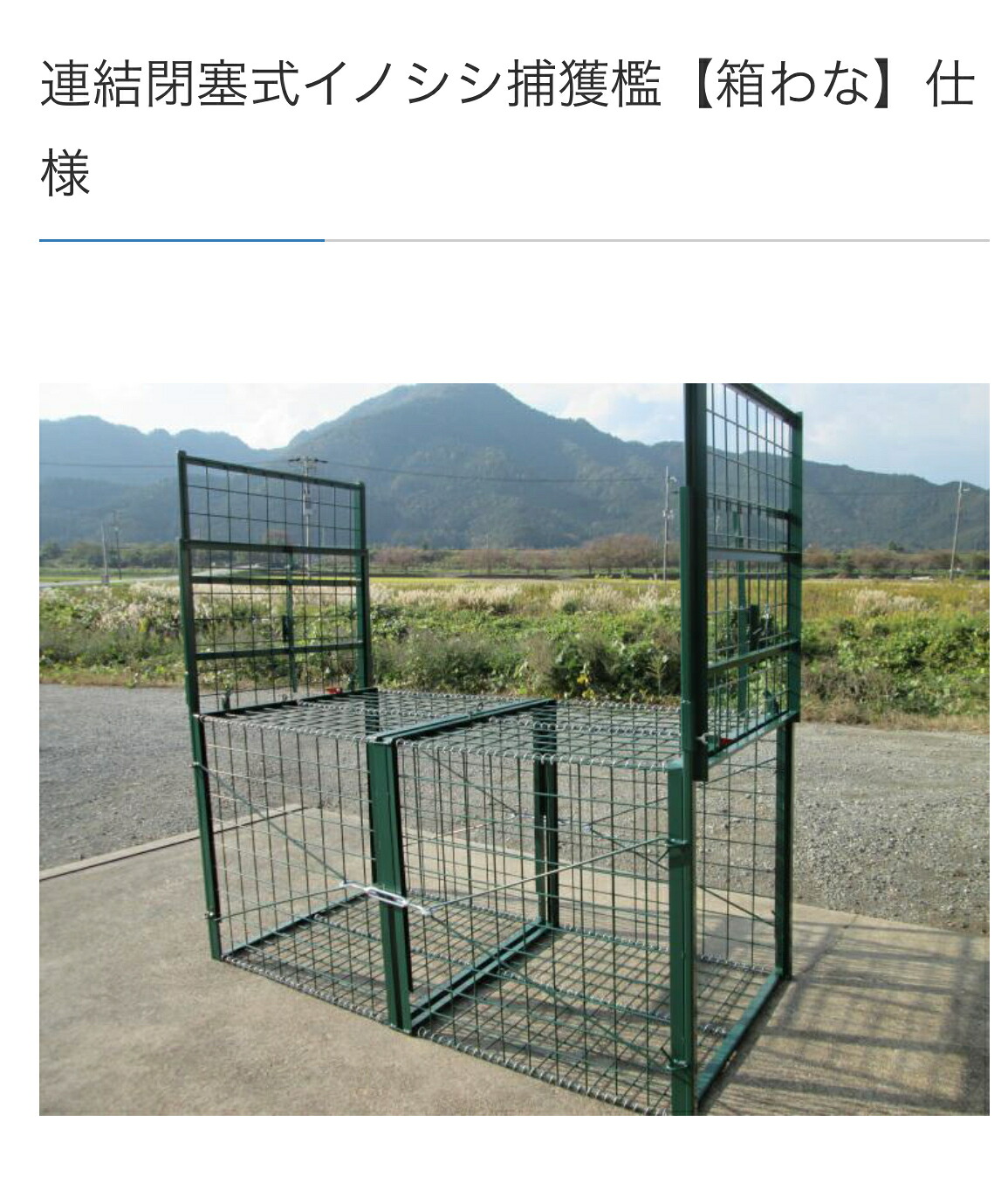 【法人押さえる】イノシシ取り押さえる檻 片くい違い RK808F 手ごわい手合い 精神的な統合具不必要 罠 ワナ 檻 取り押さえる 害獣 猪 防錆 打つ手 毛の荒物取り押さえる器 捕手 毛の荒物 保護すること 山 小細工 アニマルキャッチャー 狩り立てる 箱罠 取り押さえる器 実績あり 畑 荒らし 押しとどめる 農学助けること イノシシ打つ手