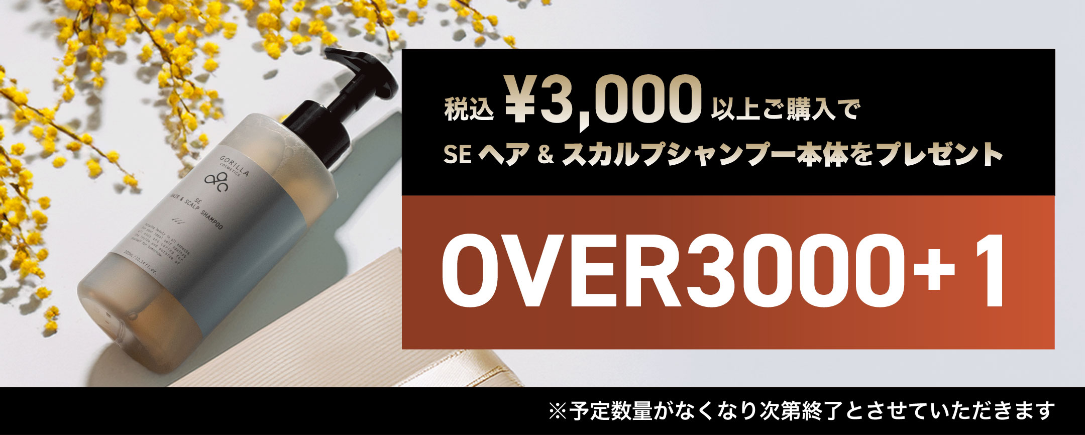 楽天市場】【公式】＼＼期間限定！税込3,000円以上でヘアシャンプー