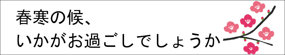 楽天市場】即納可能! ボクシーデザイン ウォッチワインダー
