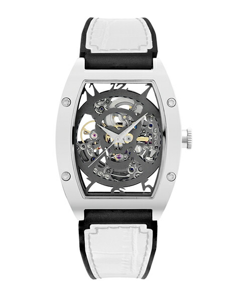 アルカフトゥーラ ARCA FUTURA メンズ腕時計 17石 自動巻き