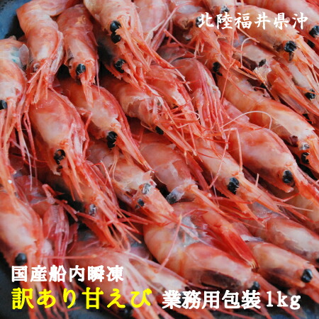 【楽天市場】訳あり国産船内瞬凍甘エビ約1kg 冷凍 甘エビ 甘海老 訳あり 送料無料:漁船直送!エビとカニの五島水産