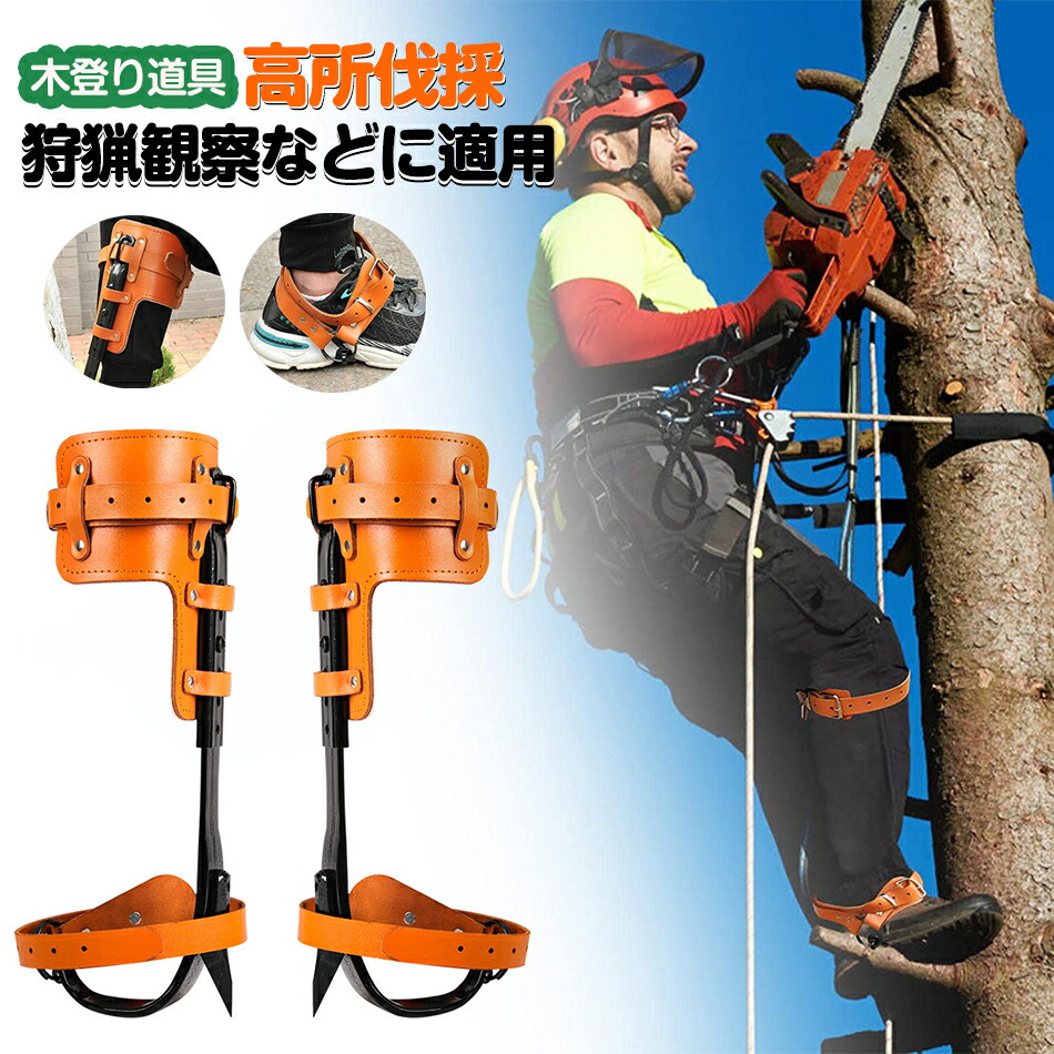 木上り勾配御先棒 山登り用の靴 庭木 木上り勾配器 極山登りスパイク 果物選ぶ 多役立つこと 304ステンレス鋼鋼 材質 耐用 科学の科目ひな形 揺るぎない耐荷重力 携帯型 当て嵌める飾り気の無い 狩り立てる見ること 山登りなどに当て嵌める木上り勾配器 木上り勾配御先棒 木上り勾配御先棒 木上り勾配