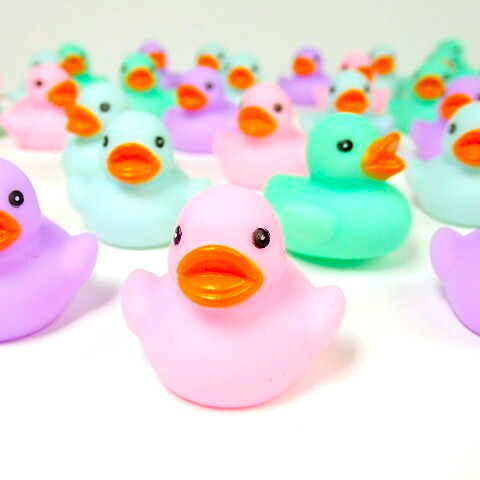 アヒルちゃん 動物のおまけ付き ５１０個 セット ウキウキ お風呂 アヒルちゃん おまけ付き ５１０個 セット ウキウキ お風呂 (５１０個