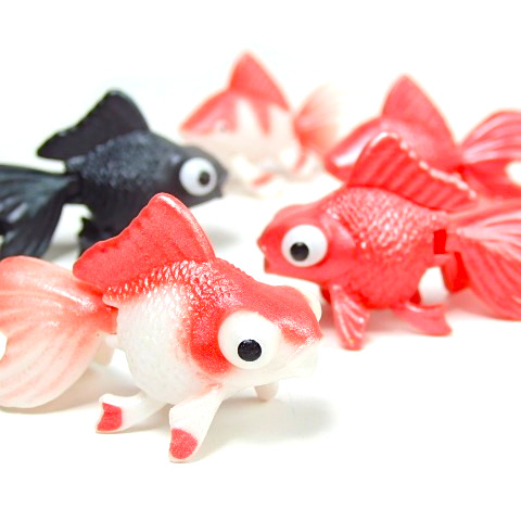可愛い金運金魚ちゃん❤️長尾金魚、縁起物、金魚、陶器人形、置物、魚フィギュア 楽天市場】【メール便可】金魚フィギュアコレクション[120個