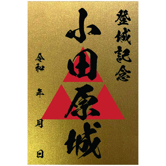 tsuka様専用です 御城印 限定