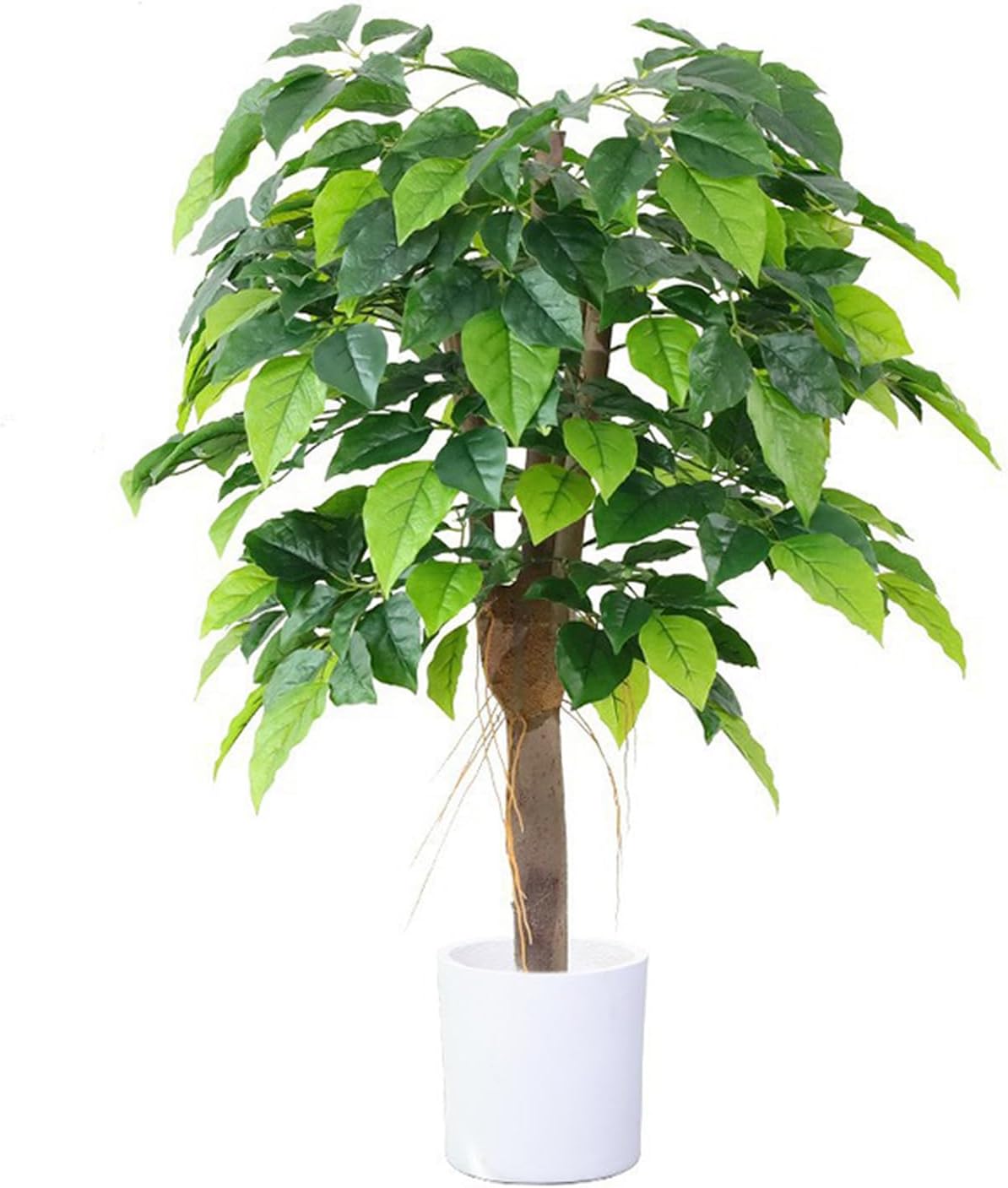 室内装飾緑であること 観葉草木 心うれしいの木 まがい物 大型 本物そっくり 造花 今めかしい 事務室 バス発着場 リビング 部屋の入り口 二階建てバスお座敷 室内用便器 100珊 回廊 ひな形2 見せびらかす かざり付ける 置き ナ