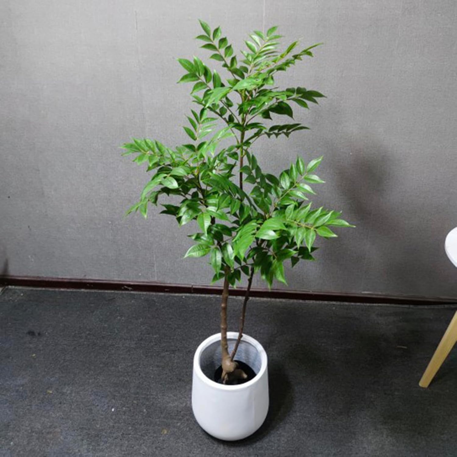 人工あずま屋 人工観葉草木 180糎 即物的 観葉樹 大型 枯れない 本物そっくり 室内装飾雑貨 フェイクグリーン 人工草木かざり付ける 観葉草木 部屋の入り口 運動場 茶店 苑地飾りつけ 造花 リビング 執務室