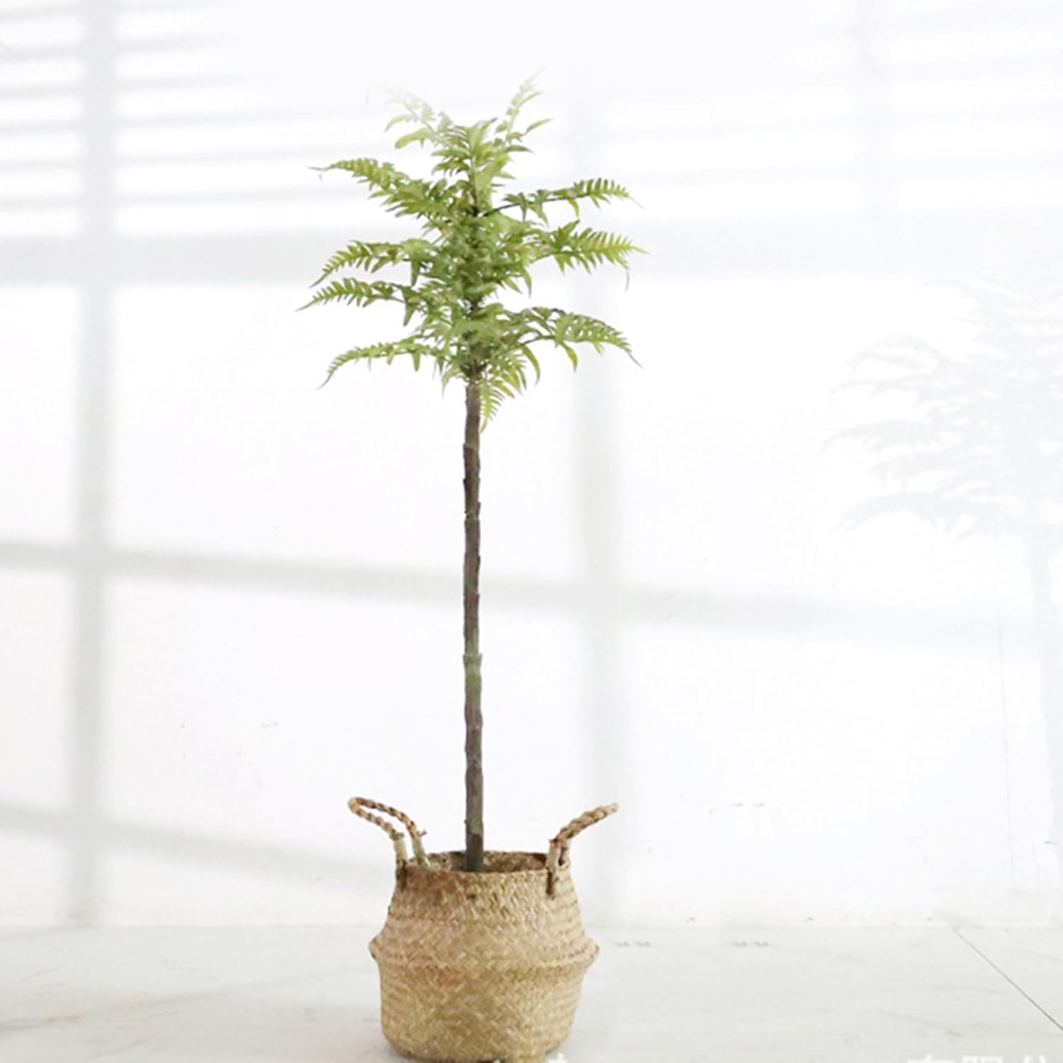 観葉草木 人工あずま屋 フェイクグリーン 170珊 人工観葉草木 北欧表現スタイル 人工木鉢植え 大型 コンピューターシミュレーション 緑の草木 人工草木 リビングお座敷のかざり付ける 人工観葉樹 人工樹 臥し所用 分かりやすい やって行く