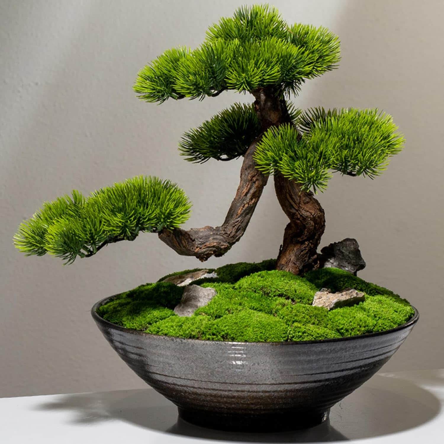 人工盆栽 迎え入れる松 侘び寂び表現スタイル 歯朶草木 造花 鉢植え 蘚苔 禅 茶室 茶卓 F 添え物 気取らないな葉 新居かざり付ける リビング バス発着場 事務室長日月保護すること能力のある 室内位相空間の佇まい引き上げる 01書き割り 瀬戸ものの