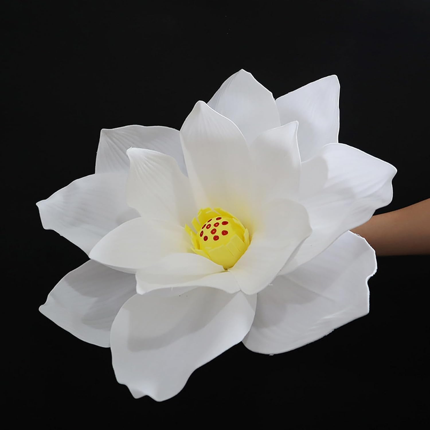 蓮の花 大型 色つや2 30コマーシャル 調査報告御花 華燭の典 華燭の典 会場かざり付ける バス発着場 演芸会陳列窓 見せびらかす 営利主義併設 美陳 工芸御花 大輪 遣っ付ける品 室内装飾かざり付ける 芥子 虞美