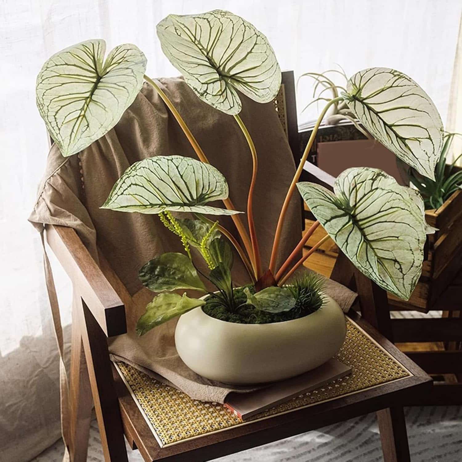 造花 鉢植え 人工観葉植物 カラジウム テーブルセンターピース 室内 玄関 05セット ポーチ テレビキャビネット ホテル すし屋 リビング 高見え 耐久 耐退色 枯れない F 居心地の良い フェイク｜GOTO funny 店