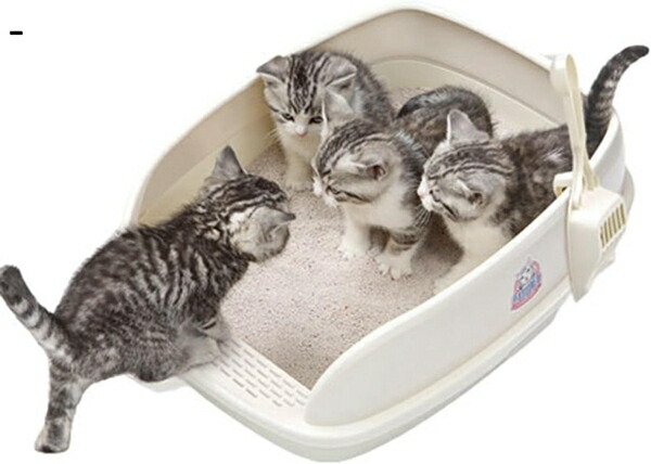 購入25%OFF 猫用トイレ本体 大型 オープンタイプ 猫トイレ ワイド 可愛い ハーフカバー スコップ付き コンパクト 掃除簡単 清潔 軽量 丸洗い可能 お手入れ簡単 飛び散り防止 囲い M(36x46x15cm)|GOTO funny 店