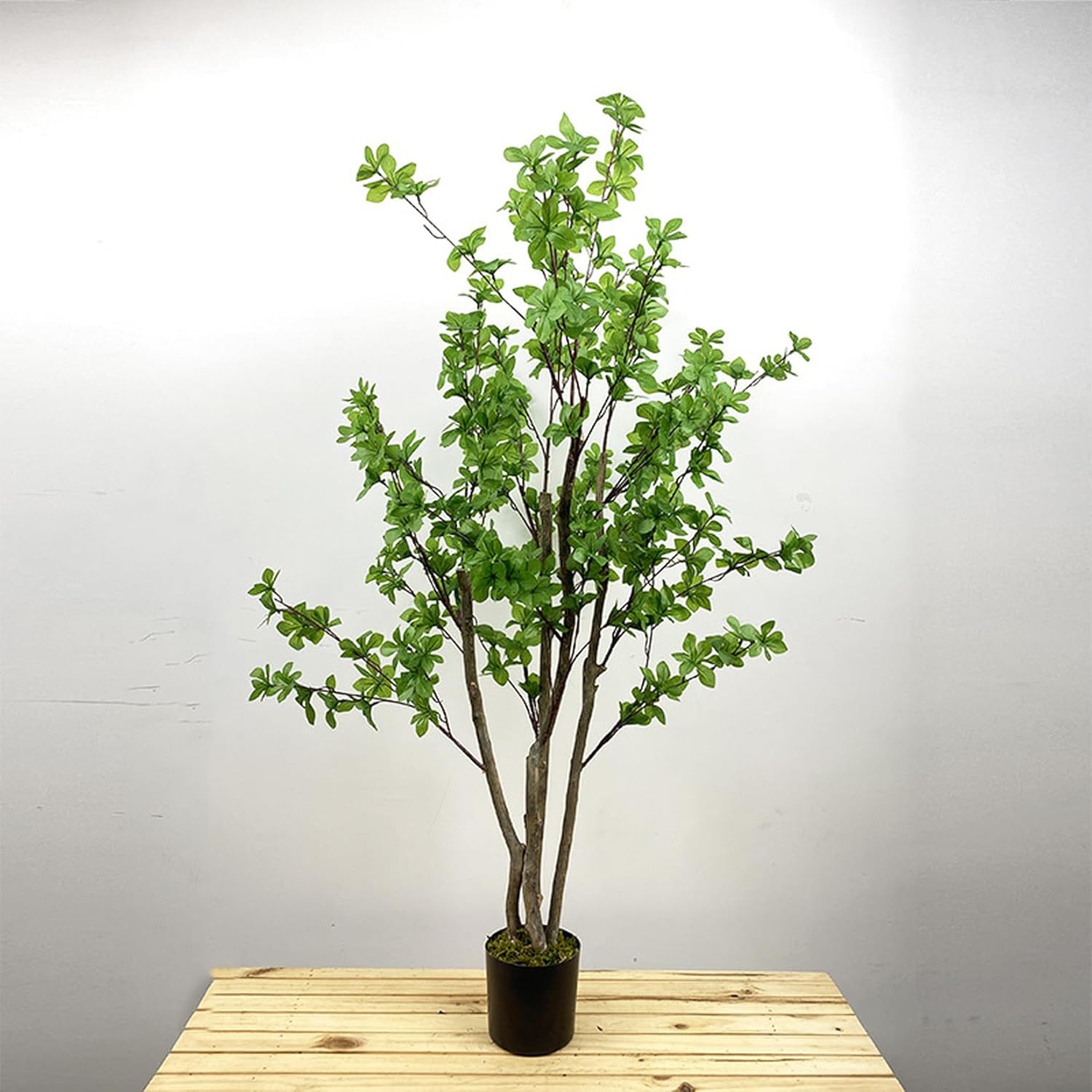 人工観葉草木 アセビ 馬酔木 フェイクグリーン ご覧なさる草木 観葉草木 造花 分かりやすい 執務室 室内 御茶の間 部屋の入り口 室外 臥し所 室内装飾飾りつけ 大型 常緑樹 つつみ隠し 150糎 今めかしい 植木 鉢付き添い人 本