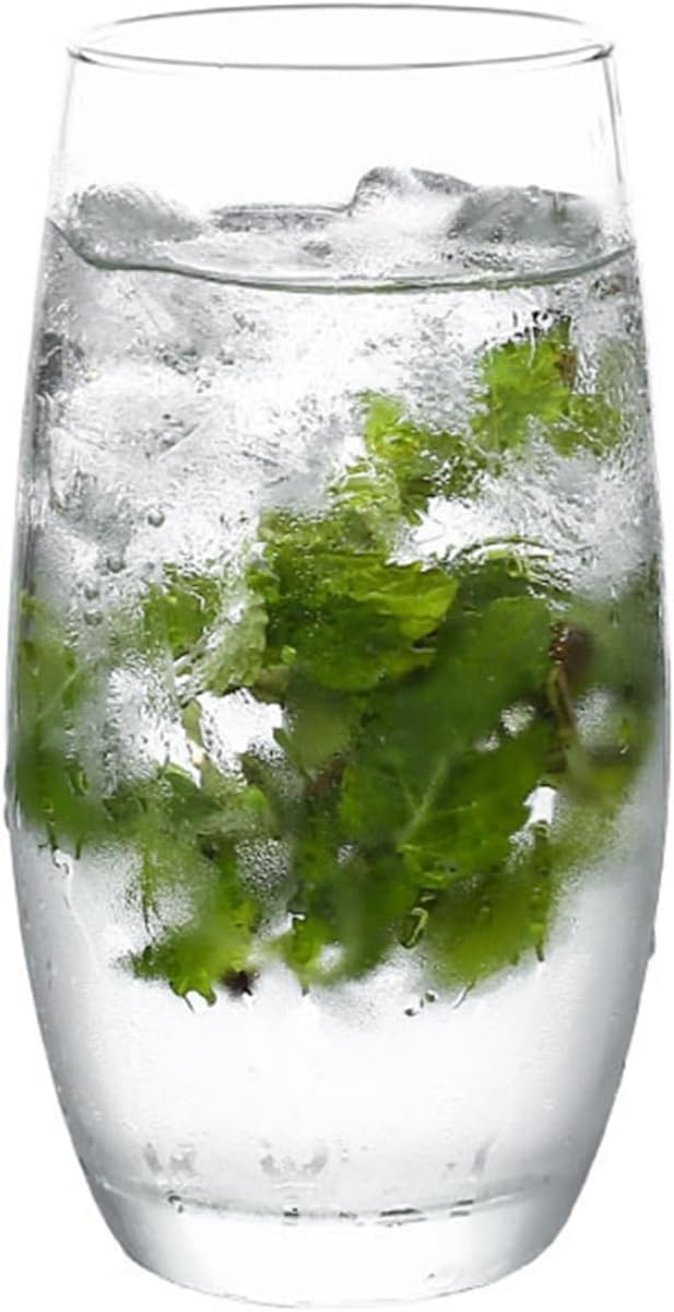 モヒートカップ ガラスコップ 430ml ガラス オフィス 雑貨 日式 家用 家族/バー/ピクニック/パーティーに最適 可愛い 贈り物 キッチン用 耐熱 ジュース ミルク ティー コーヒーカップ マグ