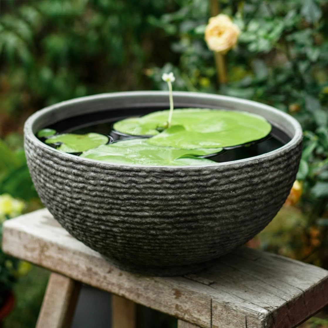 楽天市場】水耕栽培プランター 容量たっぷり 穴なし 金魚鉢 睡蓮鉢