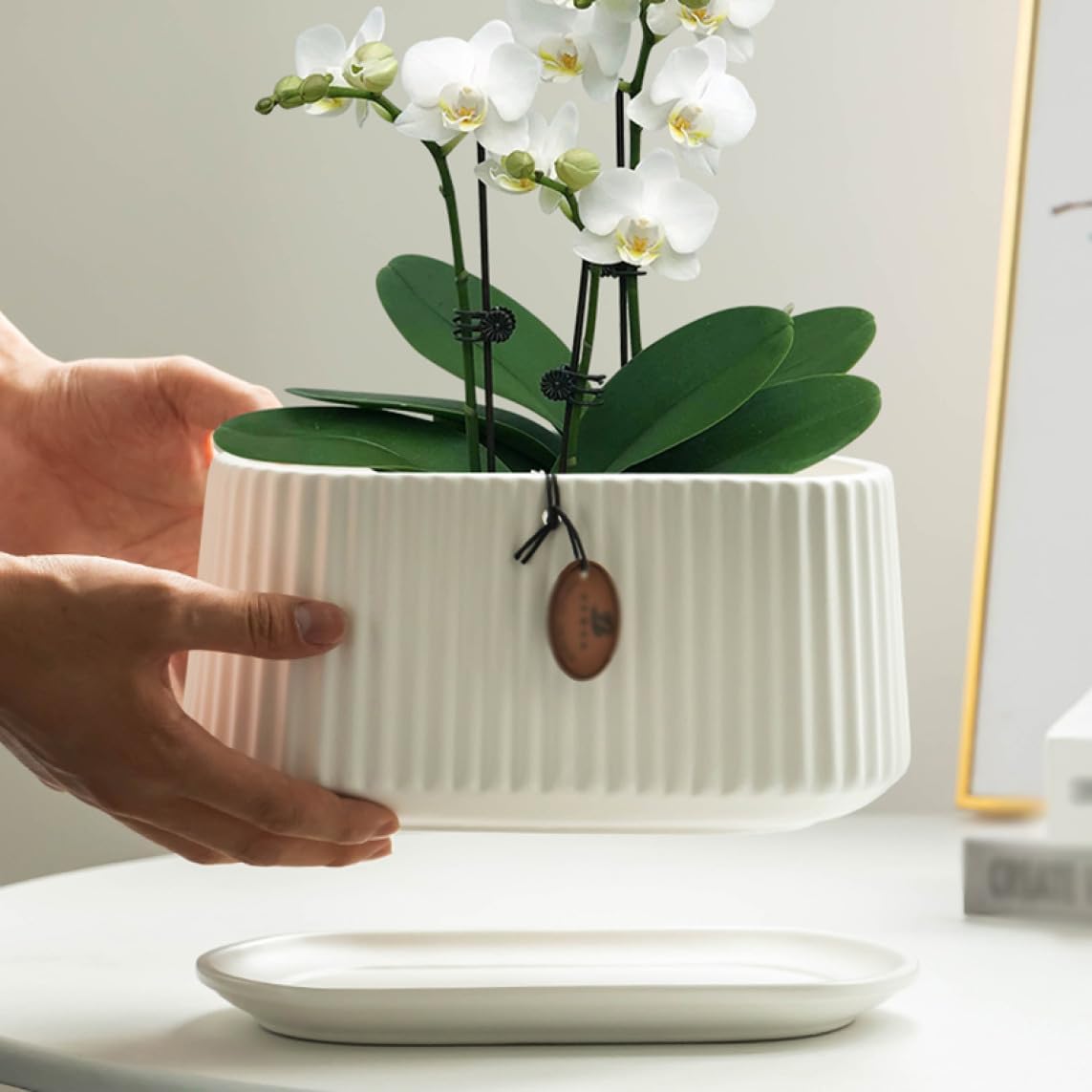 植木鉢 おしゃれ 陶器 北欧風 大型 穴あけ タイプ1 受け皿付き 観葉植物植木鉢 円筒形 陶器のプランター 広口 多肉植物ポット セラミック プラントポット 穴付き サボテンポット 丈夫で長持ち F