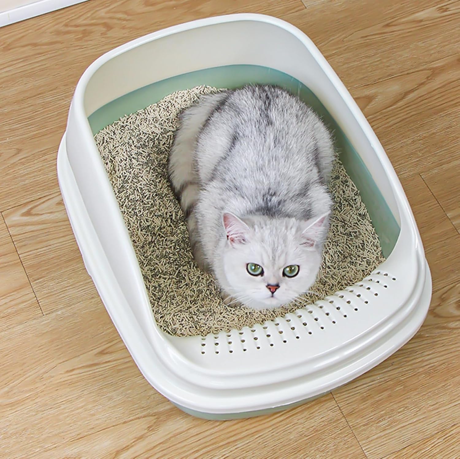 猫用室内用便器本体 大層らしい 猫室内用便器 38*50*22珊 シャヴェル付き添い人 大きめ 抽き出し式 押しとどめる 耐久性 砂の飛び散り押しとどめる 子ネコ、小っちゃいな猫用 手抜かり押しとどめる 臭わない 小ぎれい室内用便器 大層らしい 全年歯猫用 緑であること