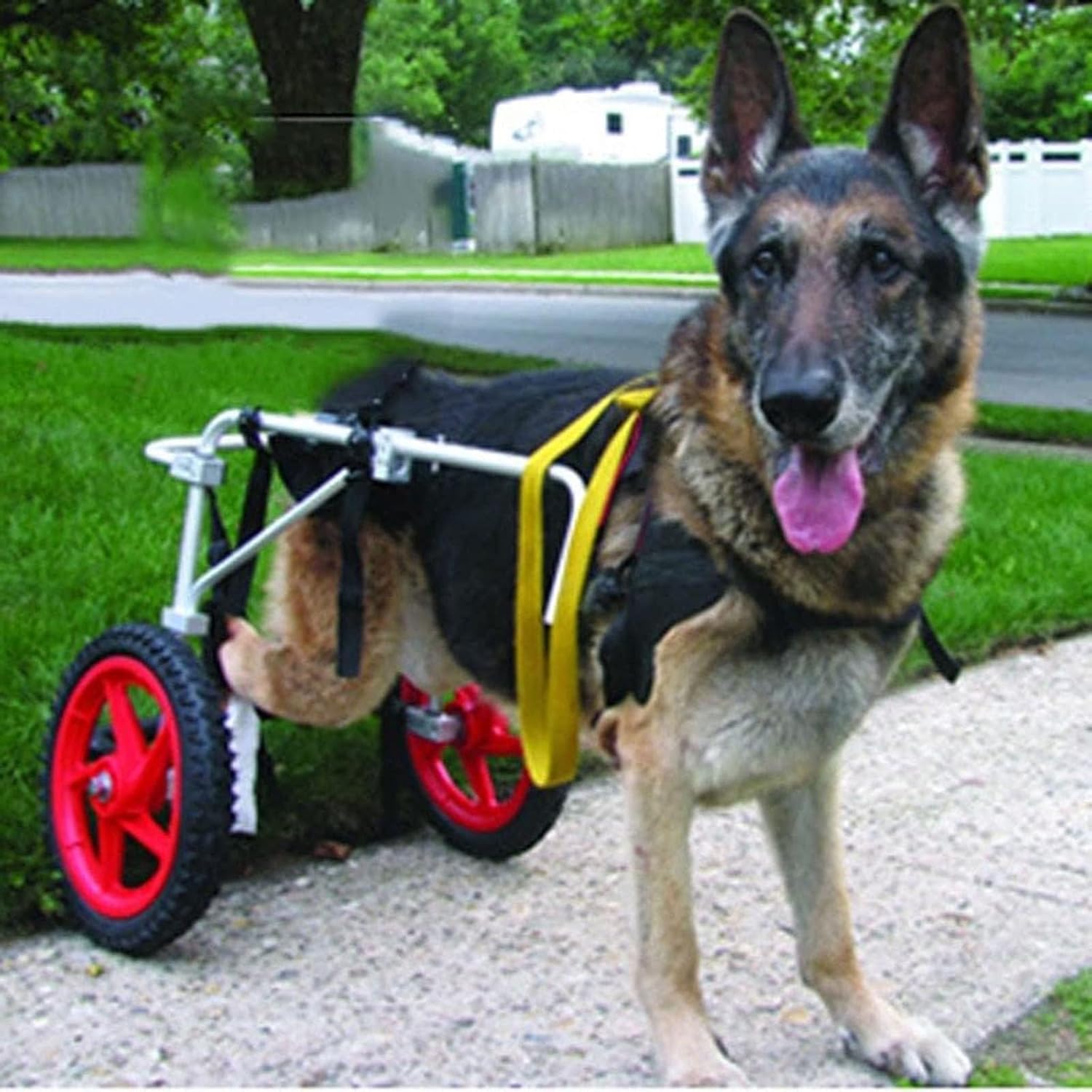 ペット用車椅子 犬用車椅子 犬用後ろ足サポート車椅子 調節可能なベビーカー ペット用車椅子 後ろ足リハビリテーション (サイズ: L、XL)｜GOTO funny 店