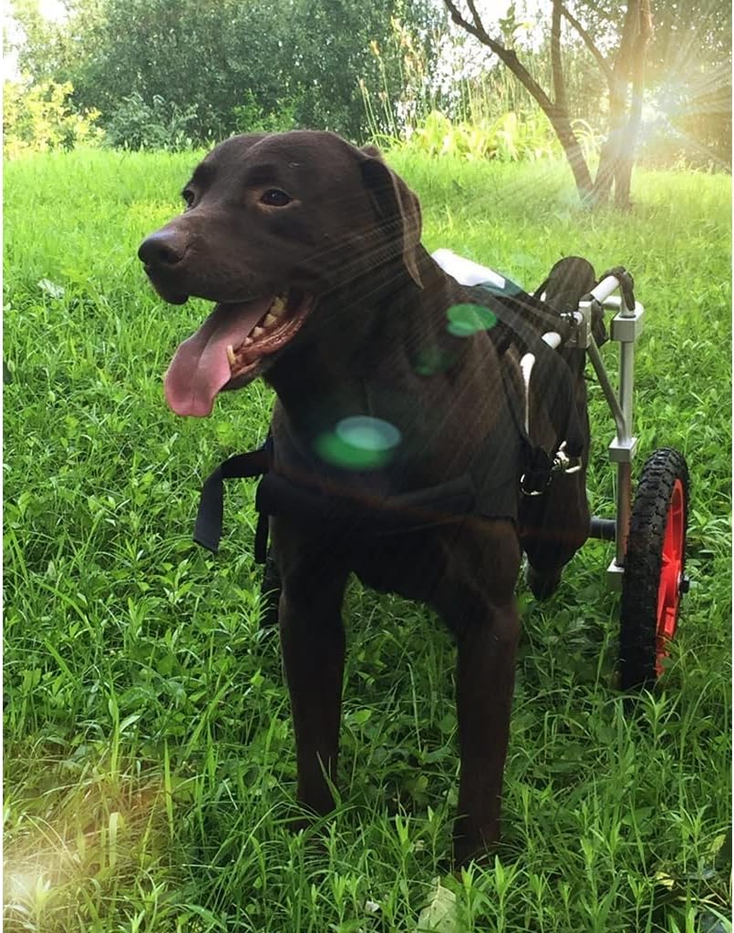 犬用車椅子 ペットカート 犬用車椅子 後ろ足用犬用車椅子 大型プレミアム歩行ホイール 後ろ足リハビリテーション ペット用品 ヘルプエムアップハーネス (サイズ : LA)｜GOTO funny 店