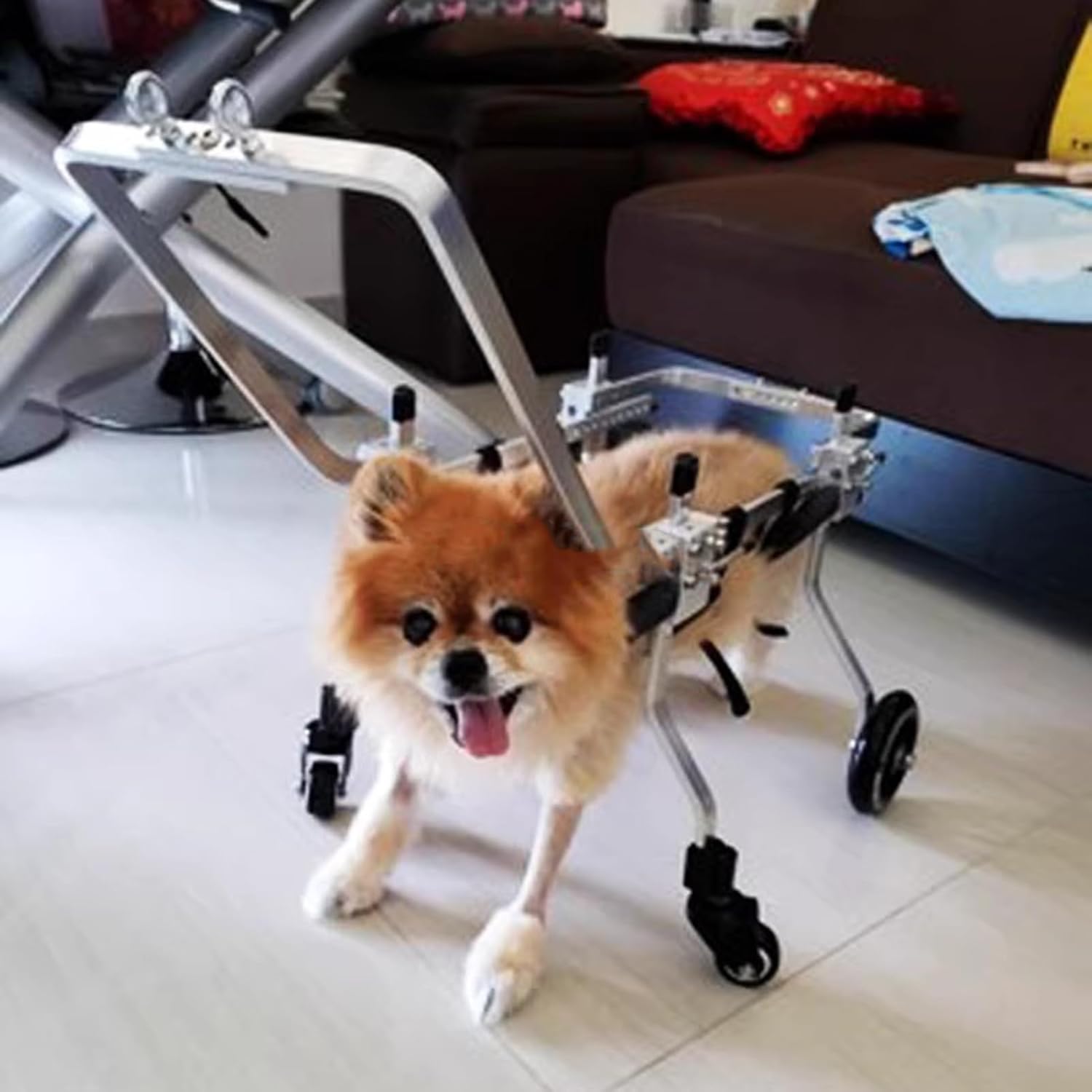 犬用車椅子 ペットリハビリテーション車椅子カート 小型ペットの移動回復を補助 ハンドル付き犬用車椅子 後ろ足/前足用犬脚ブレース (サイズ : M サイズ)