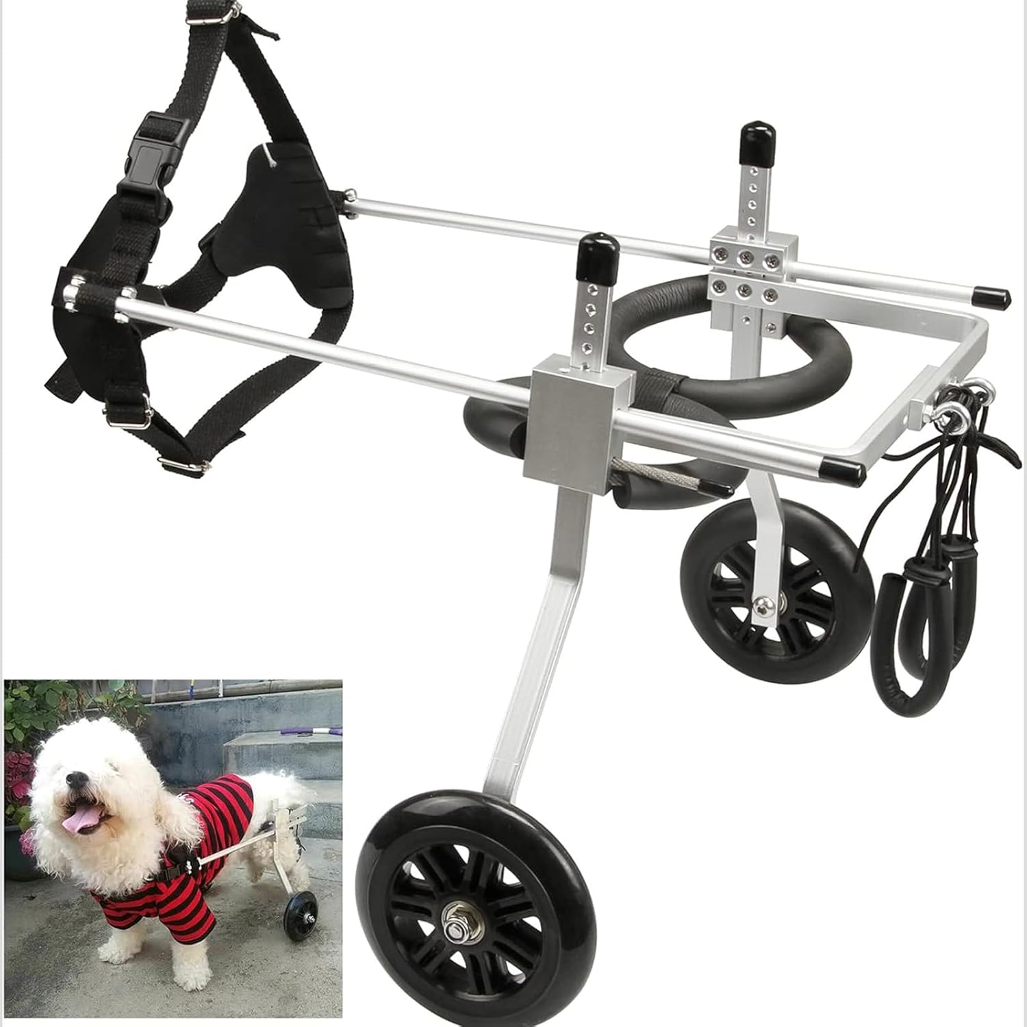 フルバックレッグサポート付き犬用車椅子、スポーツリハビリテーション用調節可能な2輪軽量ペットカート、小型中型動物用車椅子|GOTO funny 店