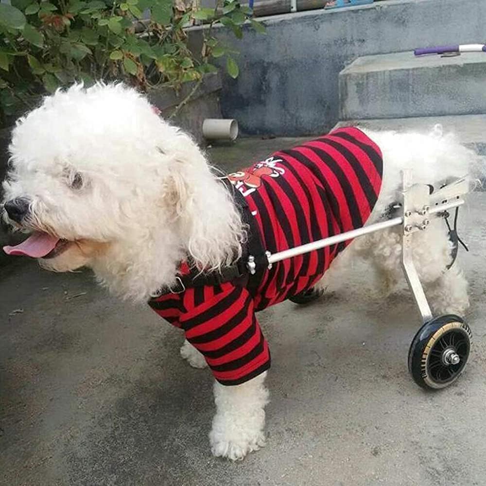 犬用ペット用車椅子 犬用車椅子 - 5～15kgのほとんどの犬用 - 後部サポート 2輪調節可能 - ペット/猫用 犬用車椅子 後肢リハビリ 障害のある犬用 犬用 (M)