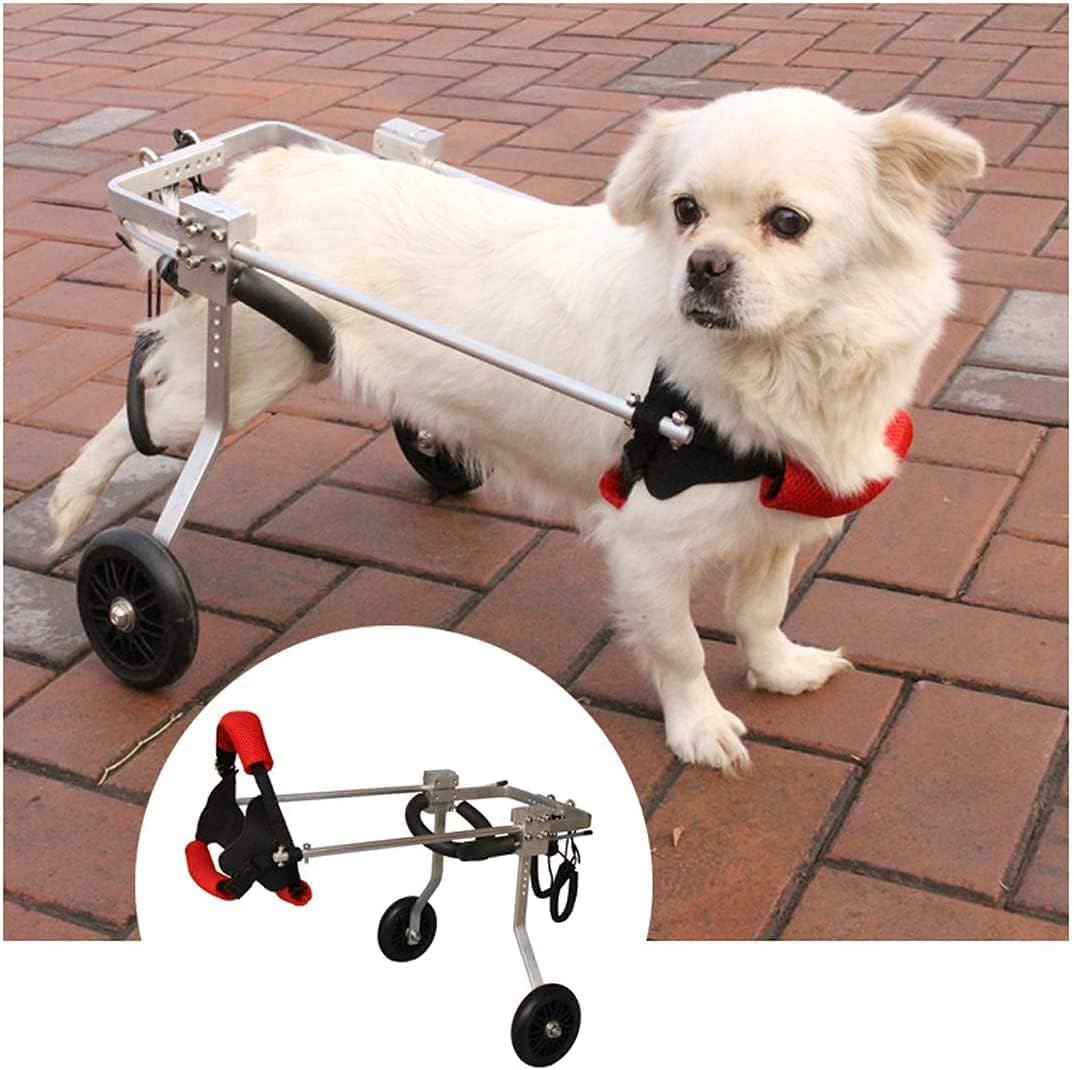 犬用車椅子 中型/小型 調節可能 障害のある動物用 犬用カート 後ろ足 高齢犬 猫用スクーター（1-20Kg） 調節可能なペット用車椅子 (サイズ : M) (X)｜GOTO funny 店