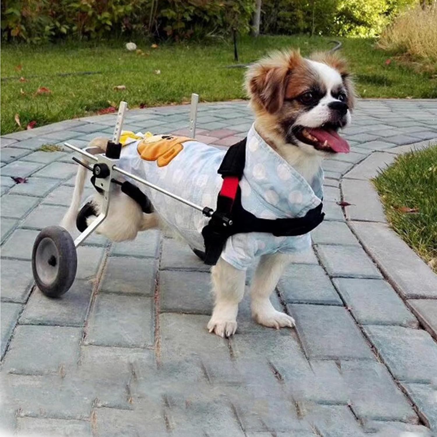 ペット用車椅子 アルミ製 2輪 犬用カート 調節可能 軽量 動物用エクササイズホイール 犬用車椅子 後ろ足用｜GOTO funny 店