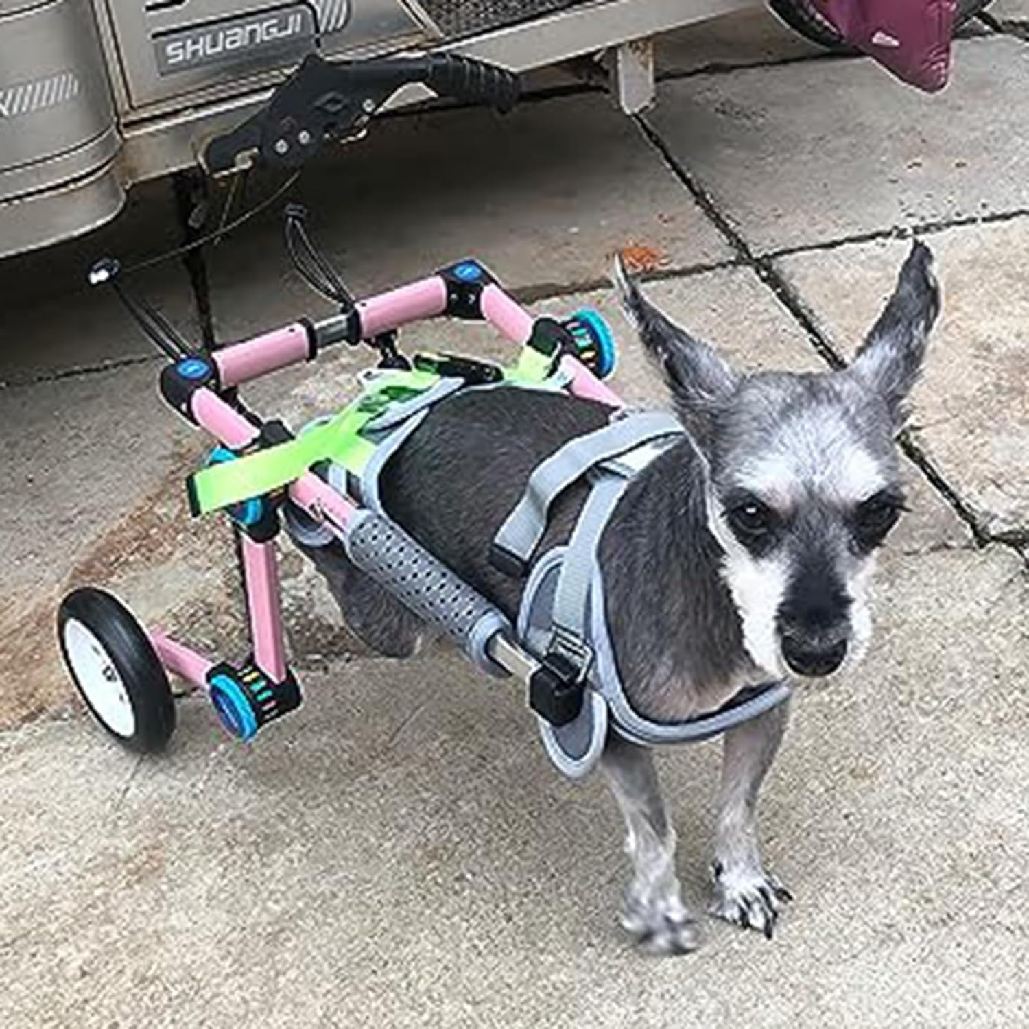 犬用車いす ピンクの小さな犬車椅子、 障害のある後肢/年上の犬用のアルミニウムフレームペットリハビリテーションカート、 2つのホイールリフティングエイズ犬の脚のブレース (Size : XXXS Si|GOTO funny 店