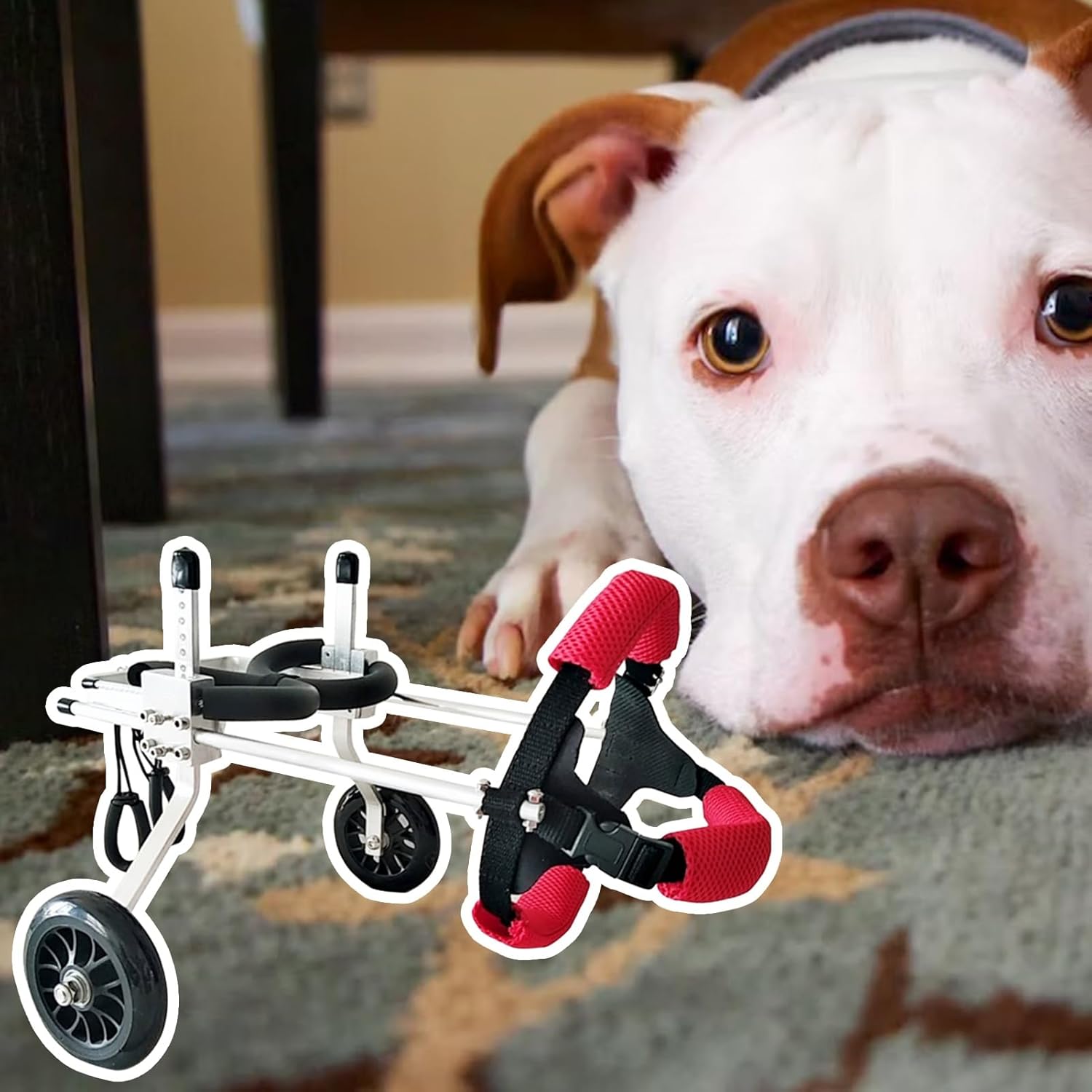 犬用車いす 後ろ足用の調整可能なドッグ車椅子、 モビリティペット2ホイールリハビリテーションカートを回収し、 障害のある犬の脚は、子犬のブレースをサポートします (Size : XXS Size)|GOTO funny 店