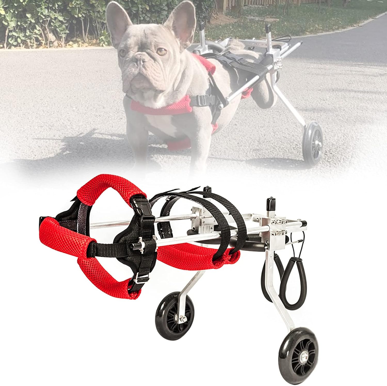 犬用車椅子、調節可能な犬用歩行器、犬猫後肢リハビリテーション用の二輪障害者ペット後肢訓練車、ペット後肢補助 (Size : M)|GOTO funny 店