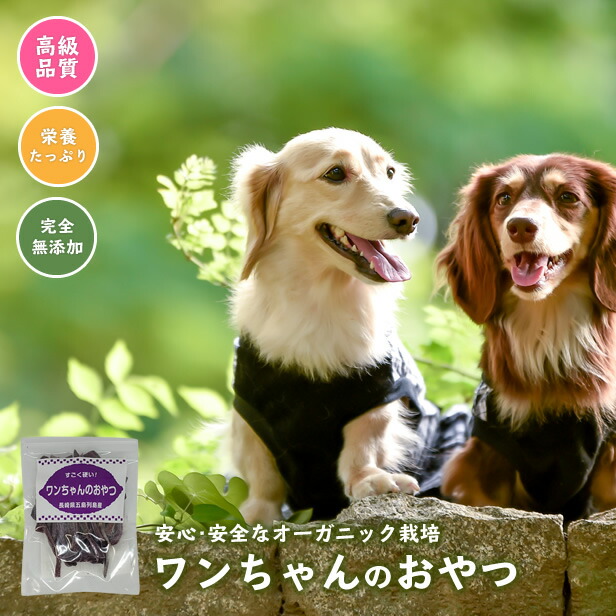 楽天市場 ワンちゃんのおやつ安納芋 10袋までネコポス発送 ペットフード ドッグフード オーガニック 干し芋 五島商店 佐藤の芋屋