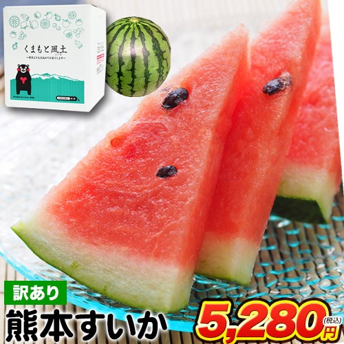 スイカ 熊本 訳あり すいか 熊本県産 1玉 4キロ 以上 旬 の 果物 夏 キャンプ バーベキュー BBQ 食材 家庭用 自家用 フルーツ 果物 お取り寄せ 見切り品 （配送予定に記載の日程でお届け）