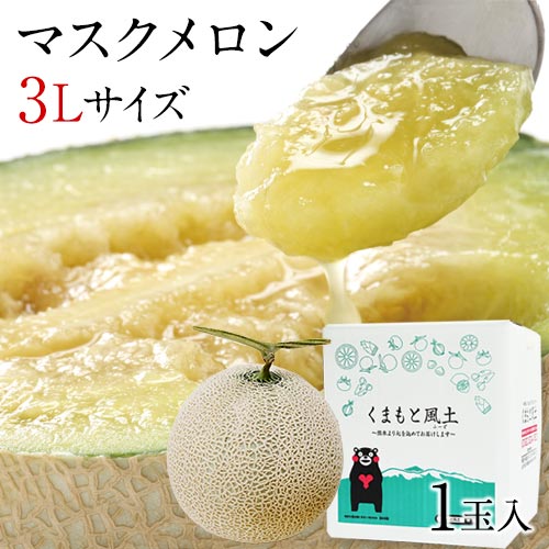 長崎県産（マスクメロン）1.45k前後×6玉