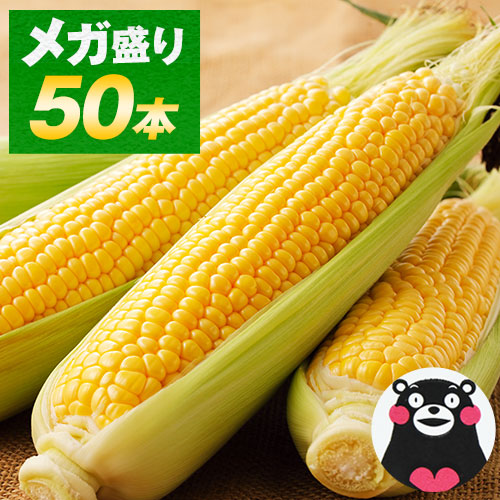 野菜・きのこ ＼超メガ盛り／ とうもろこし 50本 大容量 すごあまこー 