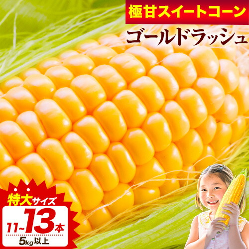 いみる！　静岡県遠州森のとうもろこし20本 朝採り 産地直送 森町】遠州森町「とうもろこし」の販売開始！！ | しずおか農山