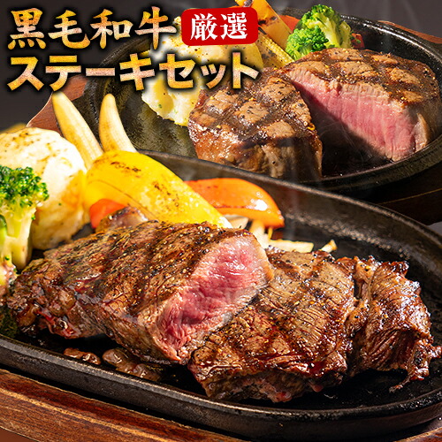 黒毛和牛 サーロイン ヒレ ステーキ 2枚 450g 送料無料 九州産 サーロインステーキ 300g ヒレステーキ 150g ステーキ肉 国産 和牛 ステーキセット 《1-5営業日以内に発送予定(土日祝除く)》 ||ご当地風土