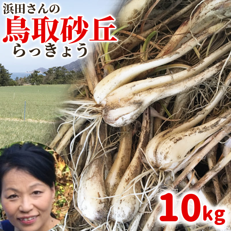 【楽天市場】鳥取産らっきょう 浜田さんの鳥取砂丘らっきょう 10kg ...