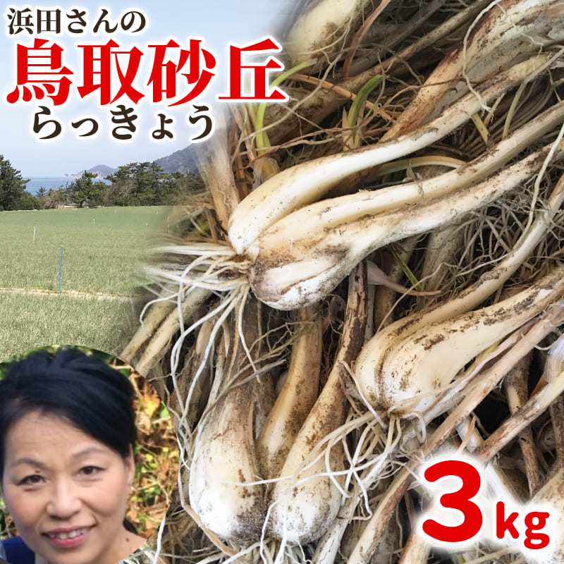 2023年激安 - 【鳥取県産】らっきょう 3kg 洗いらっきょう 鳥取 砂丘