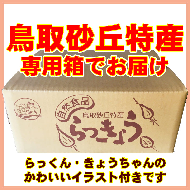 昨年１位 残り僅か 鳥取 らくだ 茎付き 簡単漬けのレシピ付き 砂付き 浜田さんの鳥取砂丘らっきょう 5kg 根付き