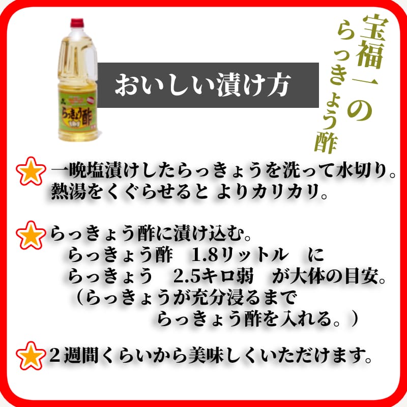 市場 値下げ 3本 送料無料 3268円→2814円 らっきょう らっきょう酢 漬け