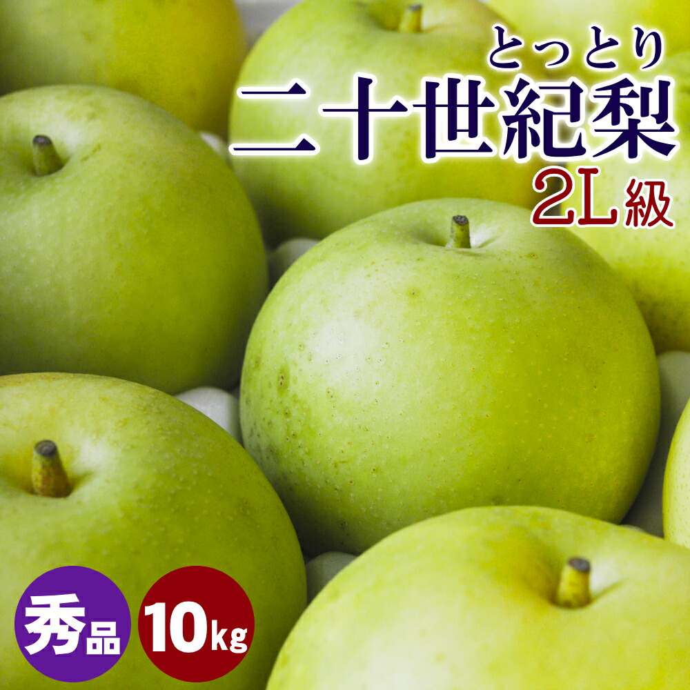 ★早割がお得 ＼梨王国鳥取／【予約】梨 山田農園の二十世紀梨（20世紀梨）10kgセット（2Lサイズ：32玉前後）鳥取県産 なし 和梨 ご贈答用 秀玉 梨 送料無料（北海道・沖縄を除く）山田農園