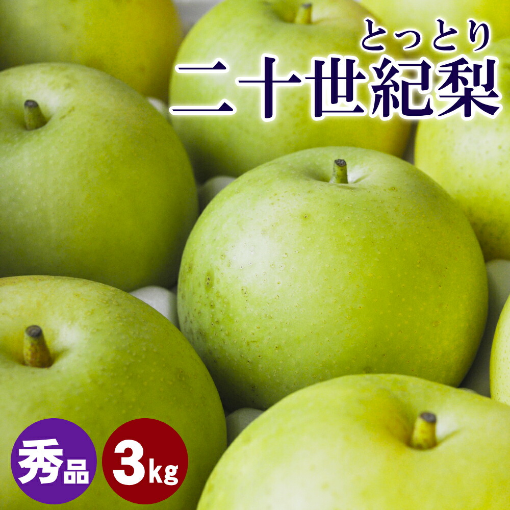 ★早割がお得 ＼梨王国鳥取／【予約】梨 山田農園の二十世紀梨（20世紀梨）2.5-3kgセット（Lサイズ：7玉相当）鳥取県産 なし 和梨 ご贈答用 秀玉 梨 送料無料（北海道・沖縄を除く）山田農園