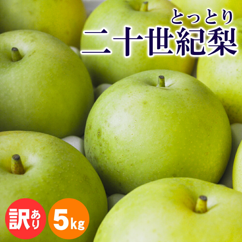 ★早割がお得 ＼梨王国鳥取／【予約】梨 山田農園の二十世紀梨（20世紀梨）5kgセット（16-18玉前後）鳥取県産 なし 和梨 ご自宅用【訳あり品】梨 送料無料（北海道・沖縄を除く）山田農園